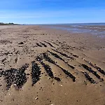 6 Personen In Direkter Seelage Mit Bootsteg Und Kanu Sowie Sauna, Whirlpool Und Kaminofen In